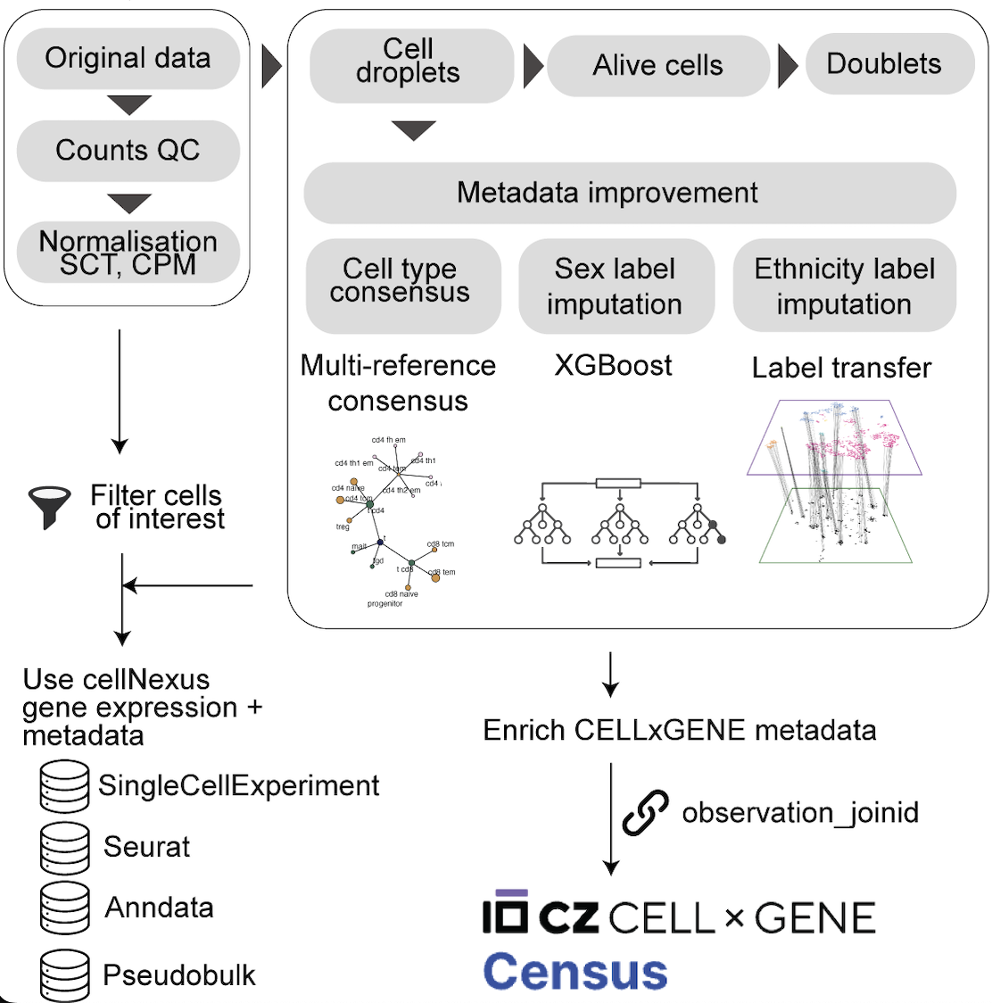cellNexus abstract overview